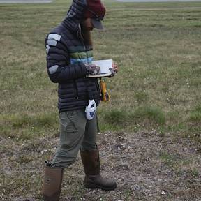 Taylor recording greenseeker NDVI data and temperature of thesis plots in Atqasuk, AK
